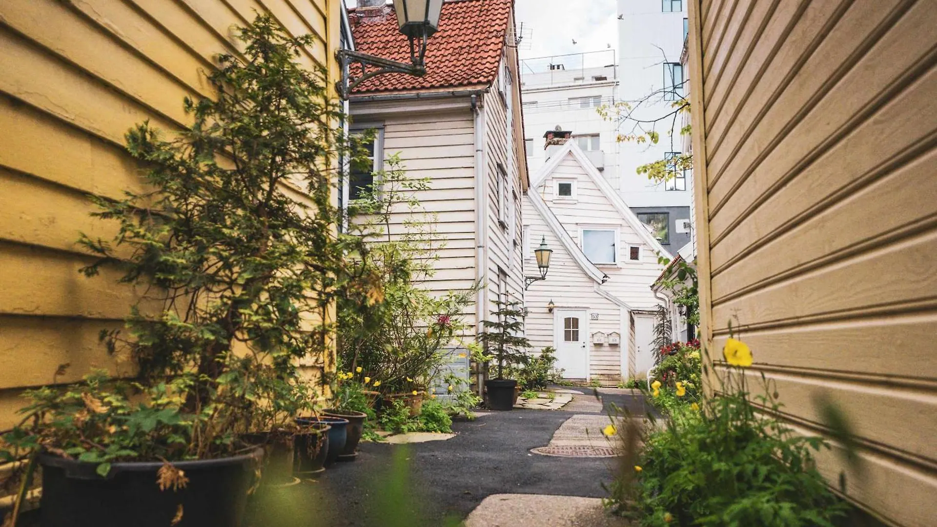Nedre Banesmauet - Rustique Bergen House Apartment